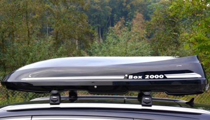 Dachbox_Beluga