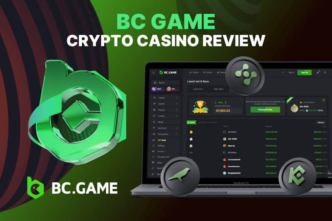 Exploring the Thrills of BC.Game Platform A Complete Overview