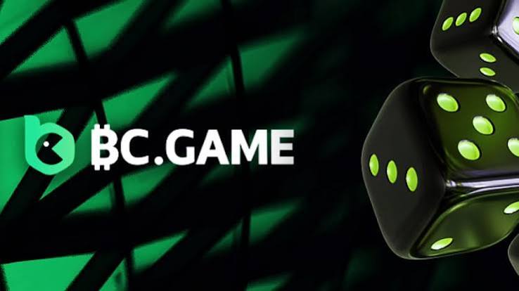 Understanding the BC.Game Login Process -236560651